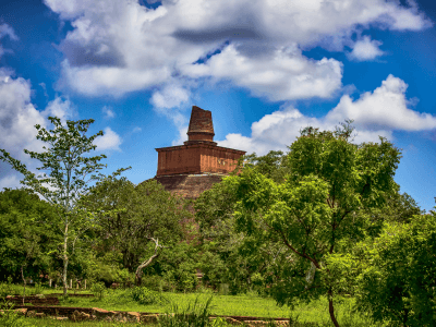 14 Days Cultural Triangle, Kandy, Ella & Galle Tour